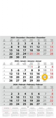 Naptár, speditőr, három hónapos, egy tömbös, üres fejrész, DAYLINER