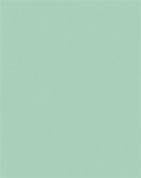 Dekorkarton, 2 oldalas, 50x70cm, 220 g, 10 lap, FOLIA, menta